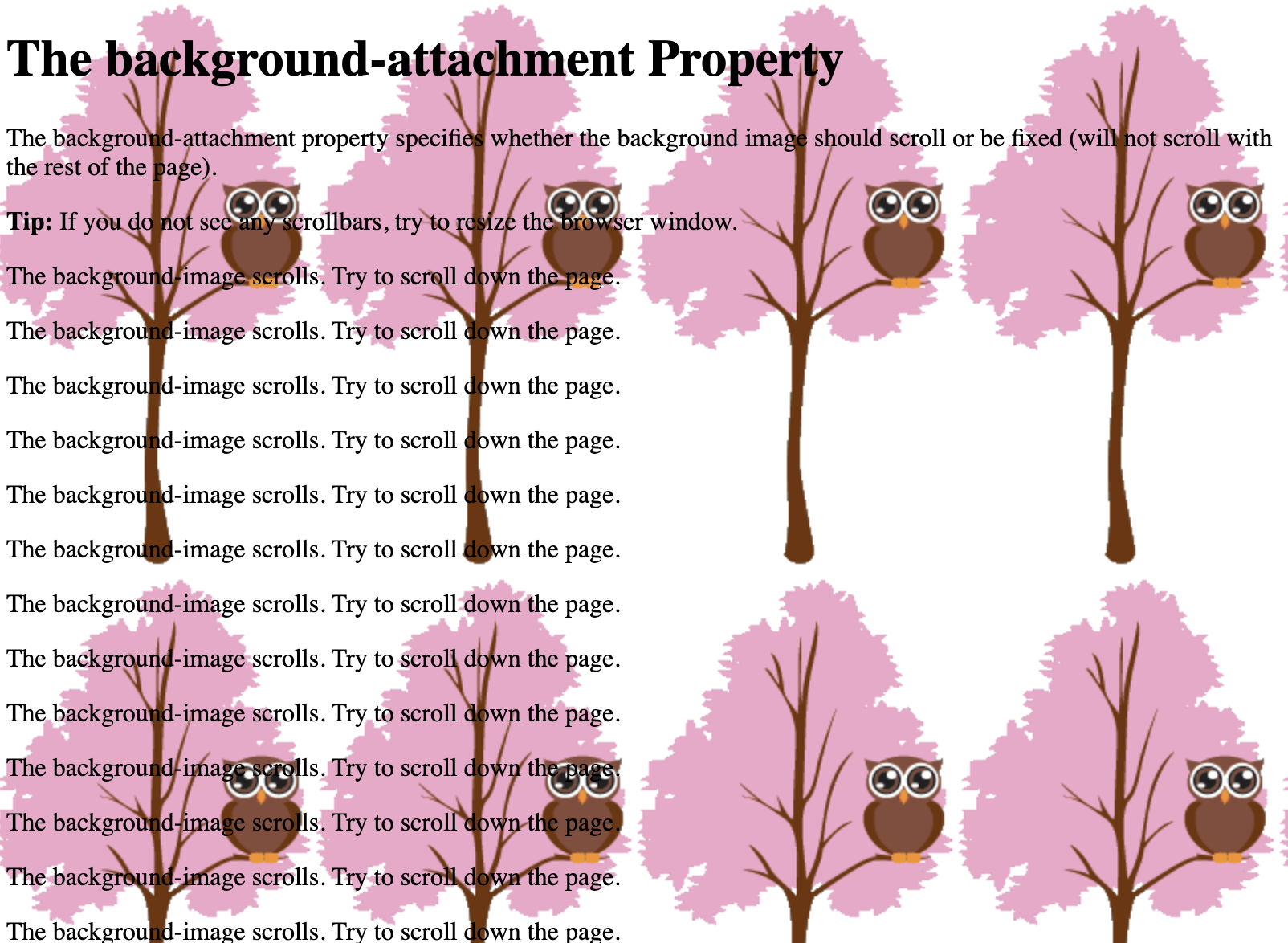 Background Repeat Image