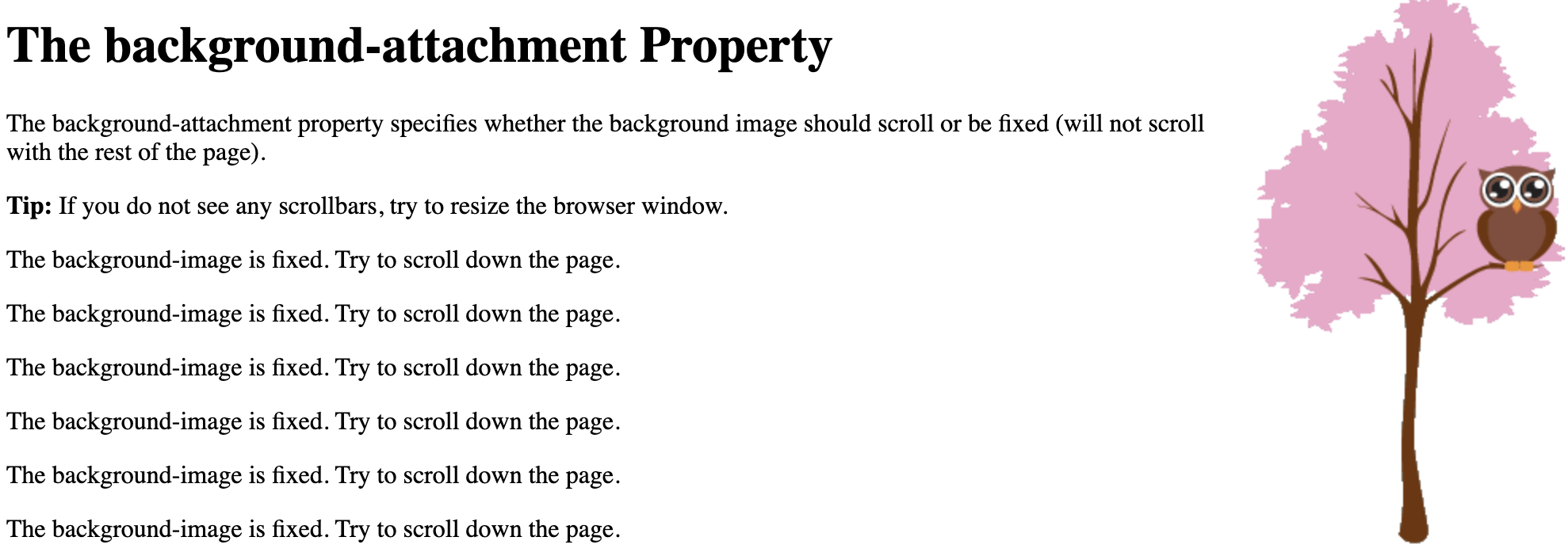 Background Attachment Image